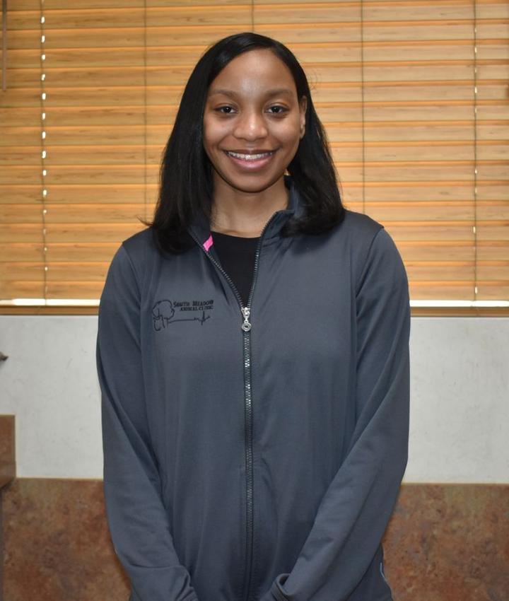 Experienced Veterinarians Animal Hospital in Fort Worth